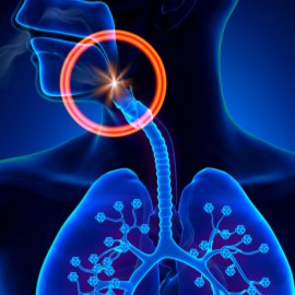 IUHP Advanced Praxis Case Management: Obstructive Sleep Apnea in Adults Banner